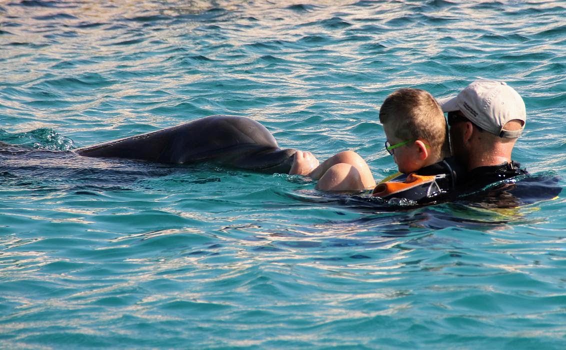 Lukes lässt sich schieben: Delfintherapie in Curaçao (2015)